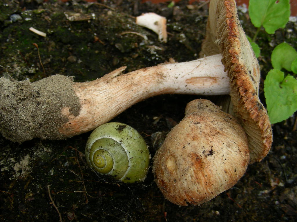 Quiz.z.z.z.z.z......